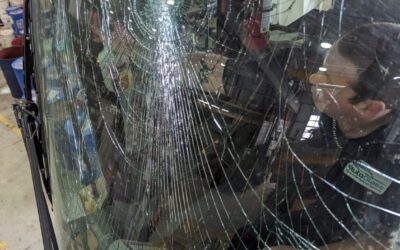 Wellington Auto Glass: Experts in Specialty Glass Replacement